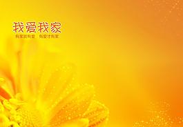 全家福模板图片