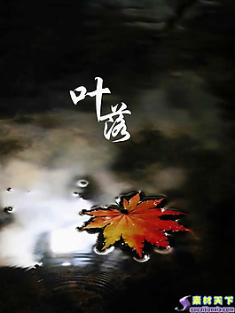 叶落之美PPT模板