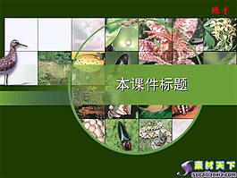 生物教学课件PPT模板