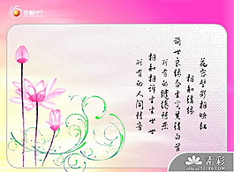 精美荷花背景PPT模板