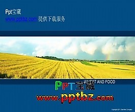 商务ppt模板-风格精致的蓝色欧美风格