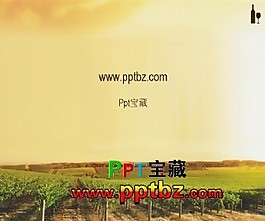 葡萄庄园ppt模板