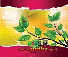 红花绿叶瓢虫ppt模板