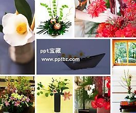 鲜花满园ppt模板