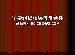 项目组织PPT模板下载