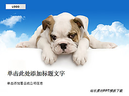 宠物小狗PPT模板下载