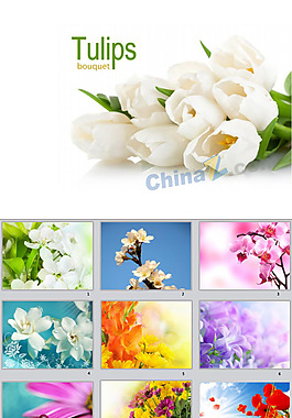 浪漫花朵ppt模板下载