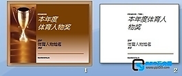 年度奖