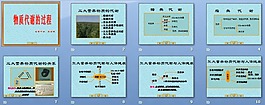 物质代谢的过程