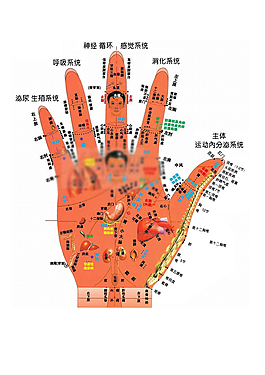 手相图图片 手相图素材 手相图模板免费下载 六图网