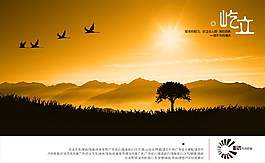 夕阳红