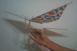 bird-v1