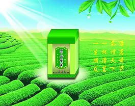 茶叶盒图片