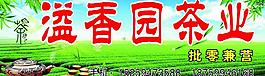 茶业图片