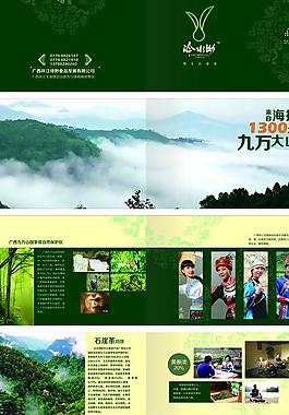 冷水坳石崖茶宣传画册图片