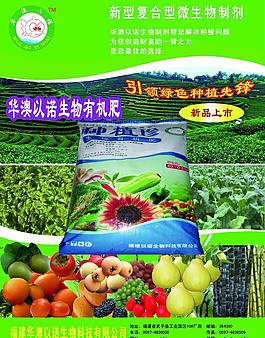 种植珍图片