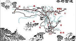 茶马古道及茶文化图片
