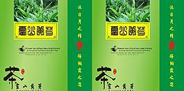 霍山黄芽图片