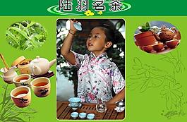 陆羽茗茶图片
