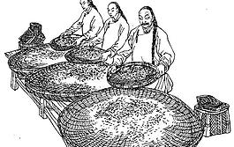 制茶工艺图片