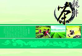 茶叶包装图片