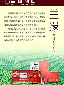 茶叶 宣传单图片