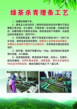 绿茶理条机图片