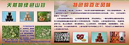 腌豆腐宣传海报图片
