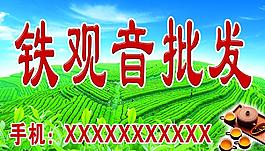 茶山 茶叶 茶具图片