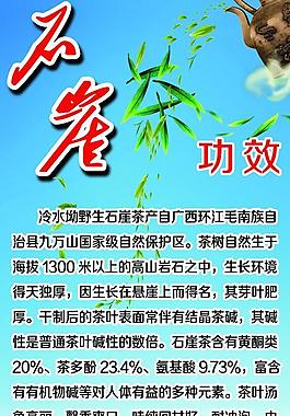 石壁茶图片和功效图片