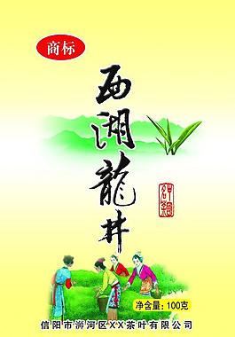 龙井茶图片