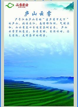 茶园贴画图片