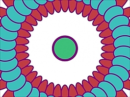 花为背景的幻灯片- 30690062