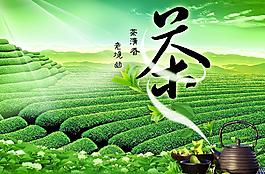 茉莉花清茶图片