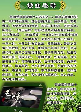 黄山毛峰图片