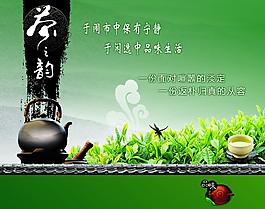 茶芽 茶素材图片