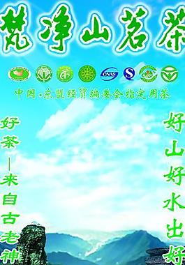 梵净山茗茶图片