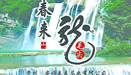 春来茶主题图片