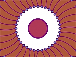 花为背景的幻灯片- 91042817