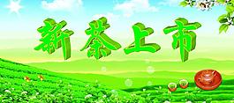 茶园图片