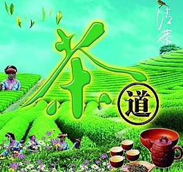 茶文化图片