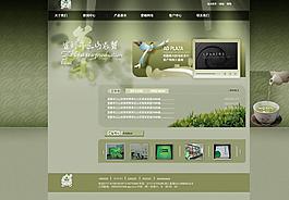 茶网站图图片