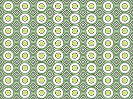 花为背景的幻灯片- 74846212