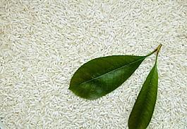 端午节糯米素材图片