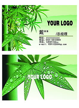 竹子植物名片图片