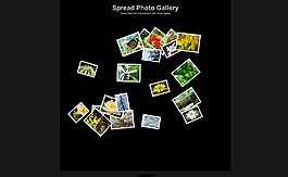 相册展示flash特效