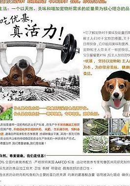 淘宝内页 品牌故事图片