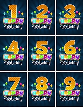 生日艺术数字
