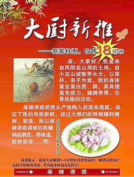 新菜特惠图片
