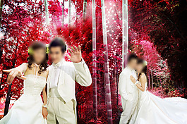 婚纱照模版